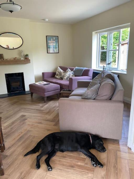 Lovely Quiet Cottage Sleeps 4 Adults, 4 Children, Dog Friendly 클레이 넥스트 더 시 외부 사진