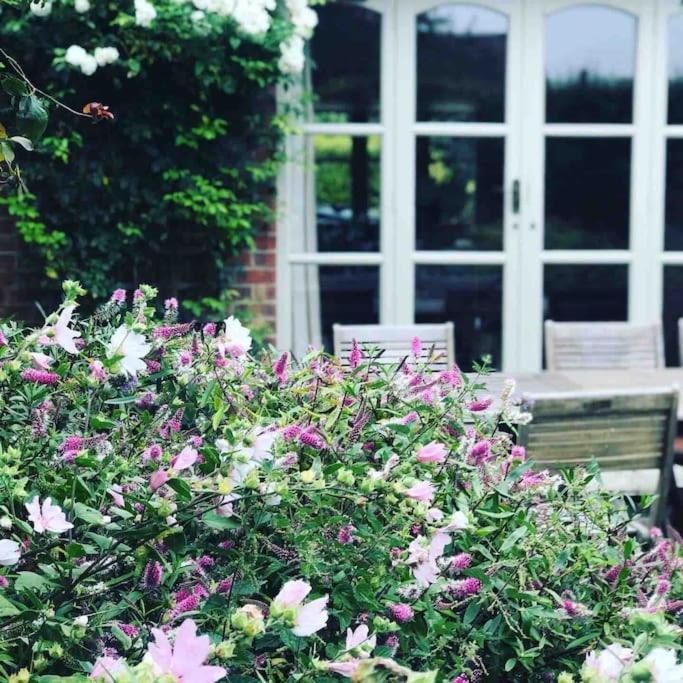 Lovely Quiet Cottage Sleeps 4 Adults, 4 Children, Dog Friendly 클레이 넥스트 더 시 외부 사진