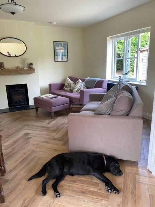 Lovely Quiet Cottage Sleeps 4 Adults, 4 Children, Dog Friendly 클레이 넥스트 더 시 외부 사진